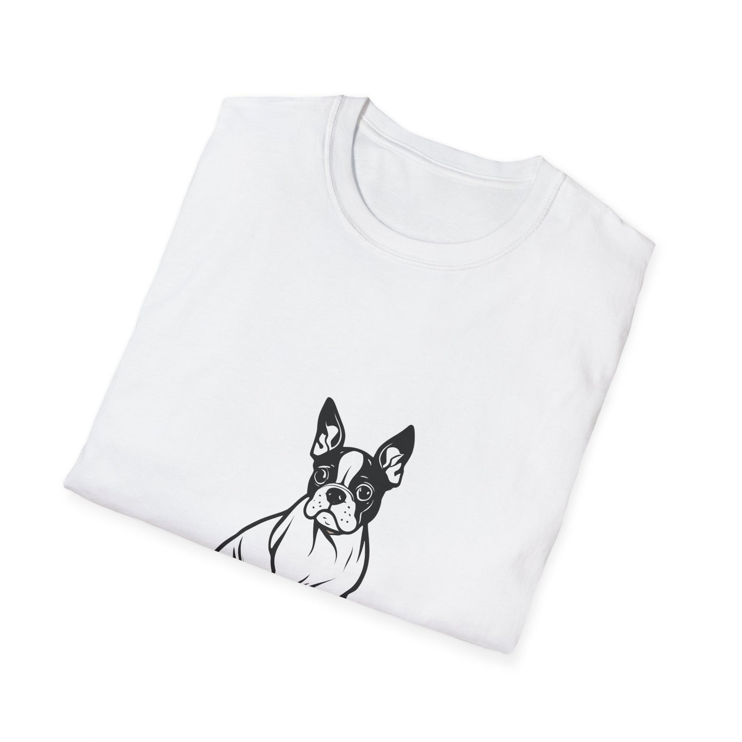 Boston Terrier