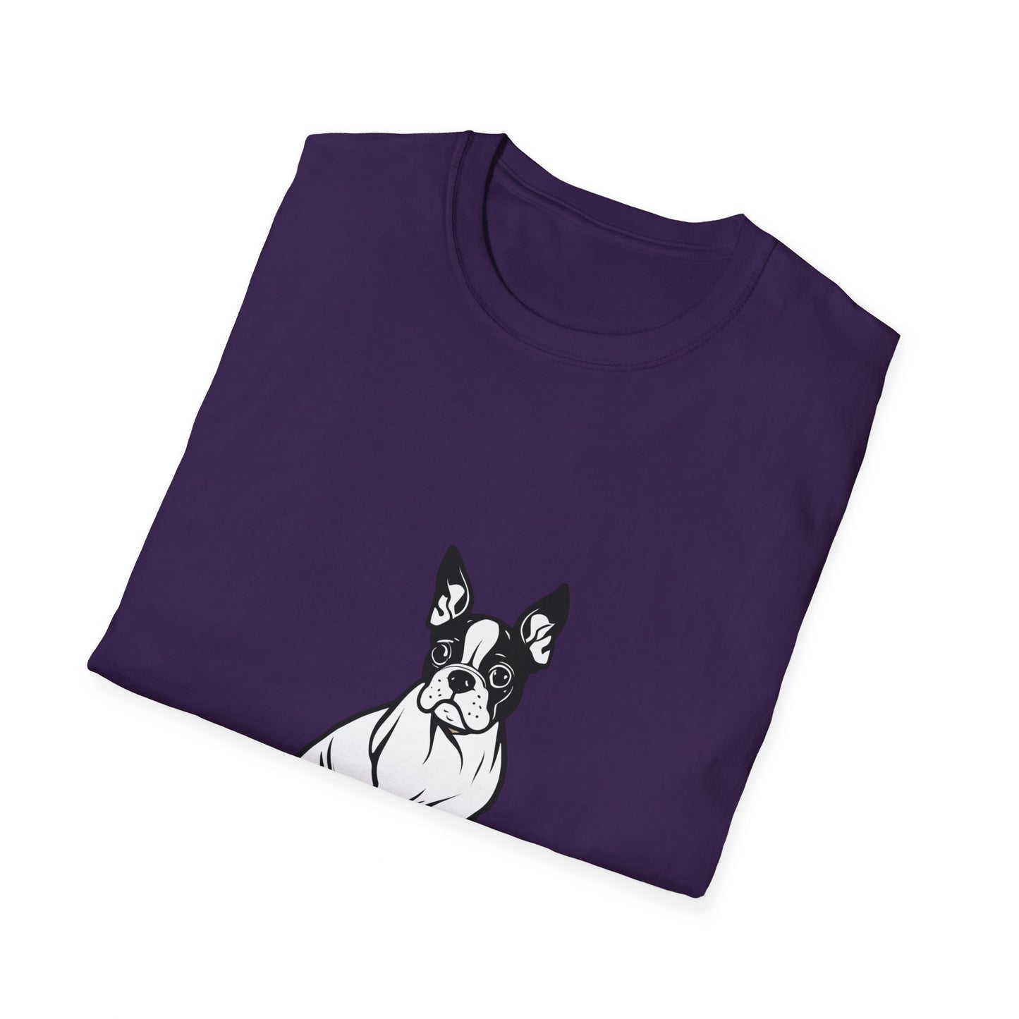 Boston Terrier