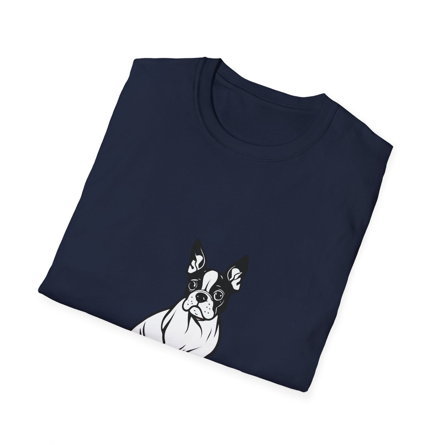 Boston Terrier