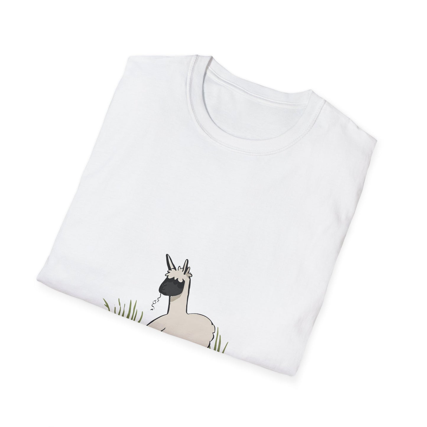 Llama